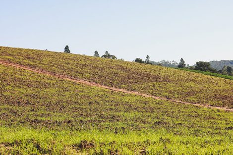 A caminho da Pedra do Sapo