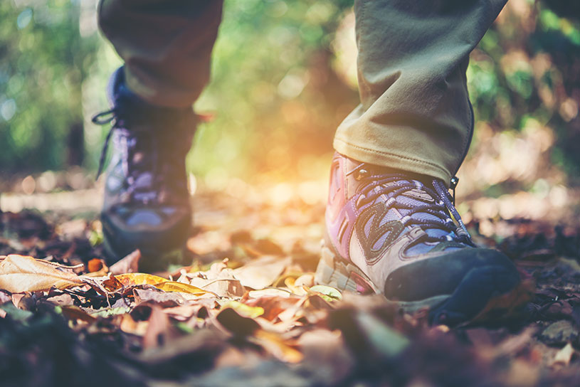 Botas para trekking