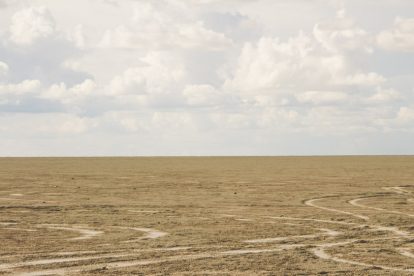 Etosha National Park