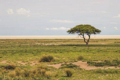 Etosha National Park