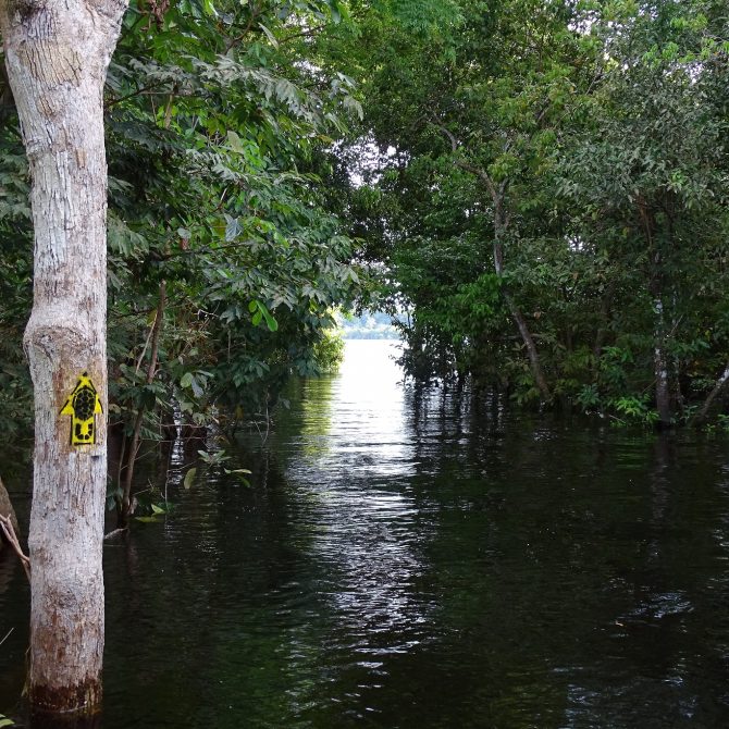 Caminhos do Rio Negro