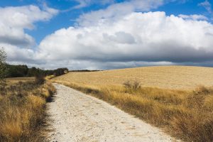 Caminho de Santiago de Compostela