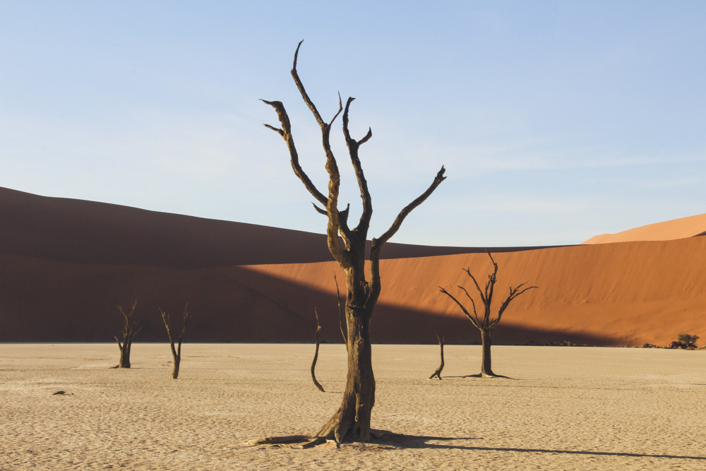 Sossusvlei, Deadvlei, Namíbia