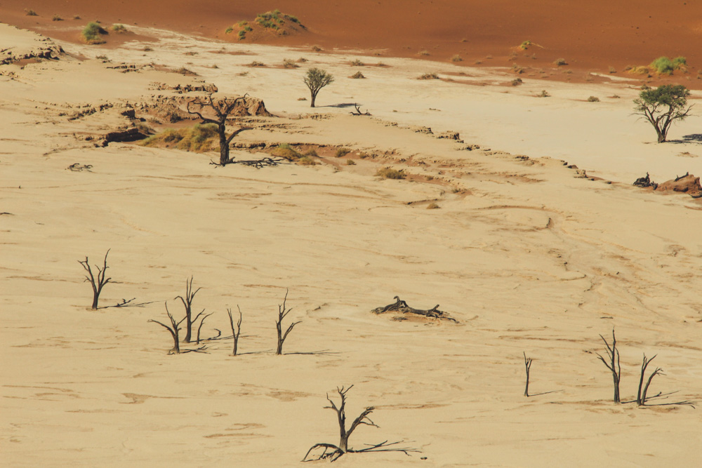 Sossusvlei, Deadvlei, Namíbia