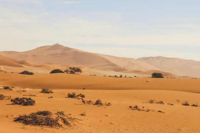 Sossusvlei, Deadvlei, Namíbia