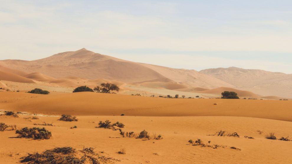 Sossusvlei, Deadvlei, Namíbia