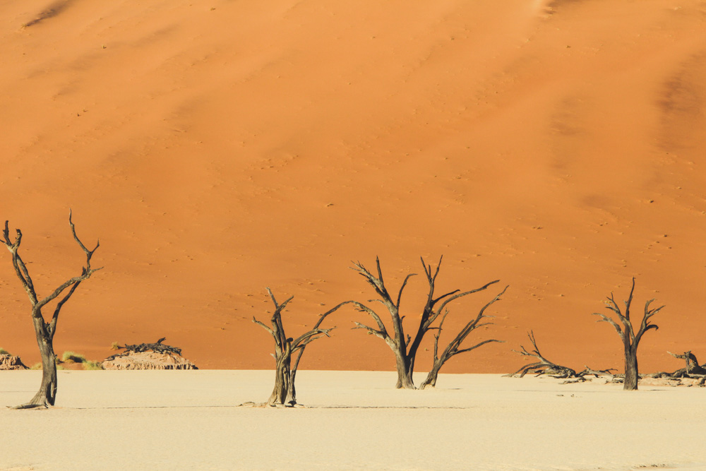 Sossusvlei, Deadvlei, Namíbia