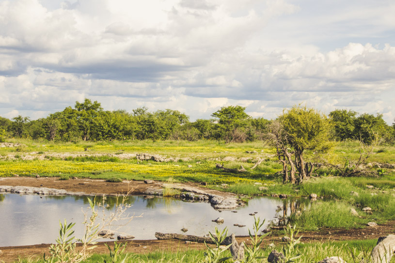 Namíbia, África